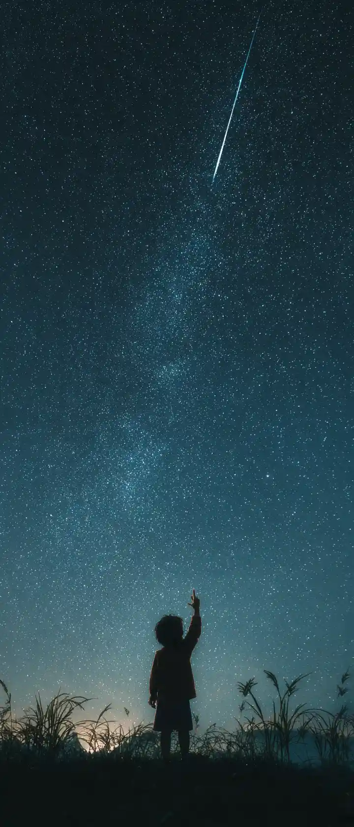 Niño alcanzando una solitaria estrella fugaz en la noche