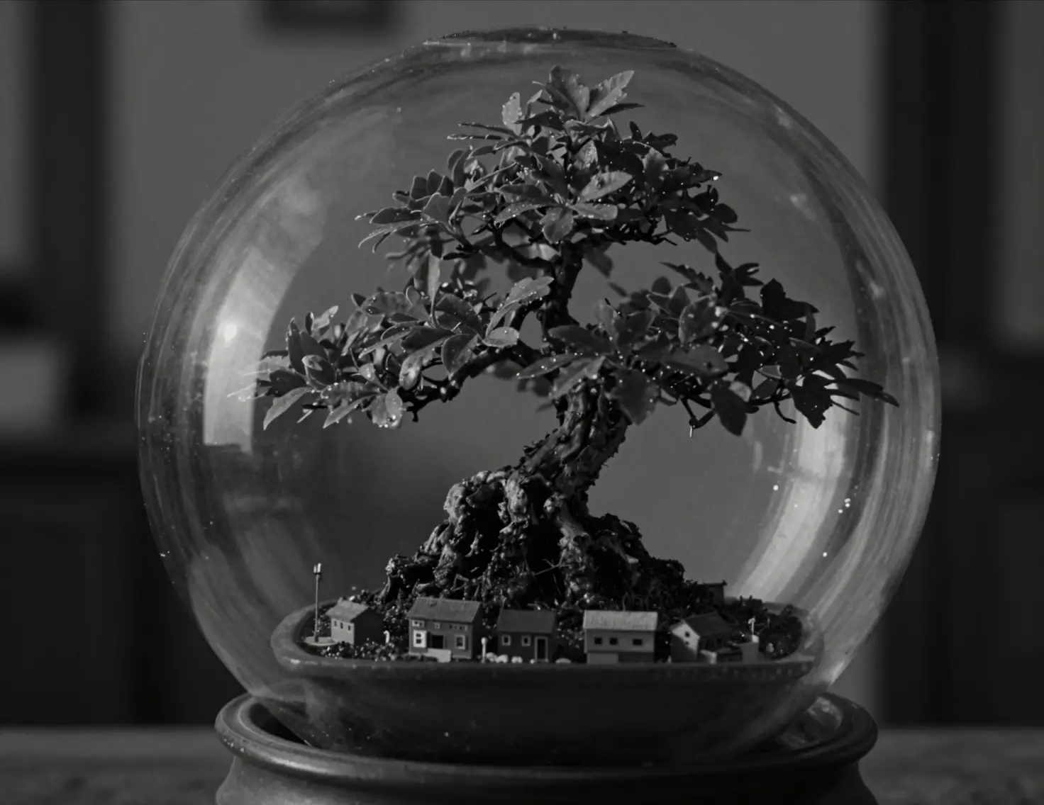 Top view bonsai in glass sphere with tiny village details