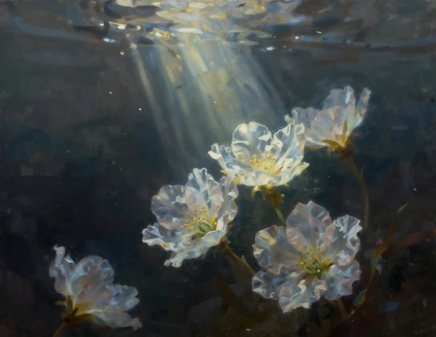 Fiori translucidi che fluttuano nella luce oscura subacquea