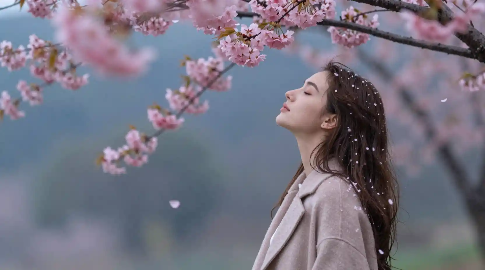 春雨中櫻花飄落的年輕女子