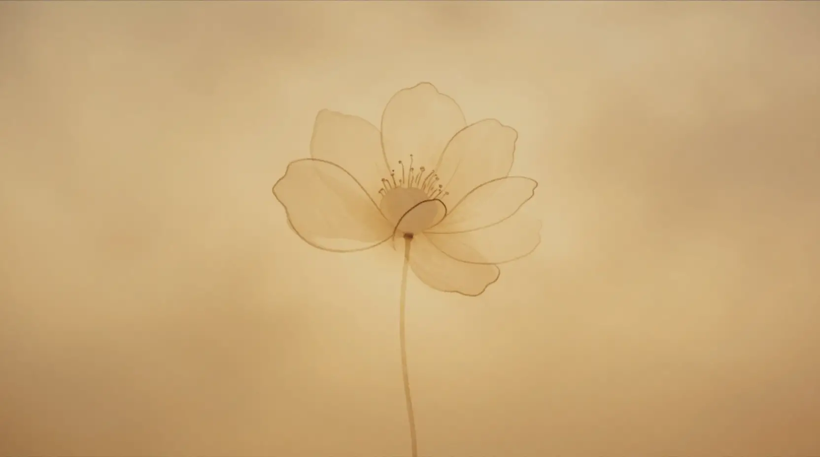 細緻墨線花朵輪廓與柔和赭色水彩花蕾