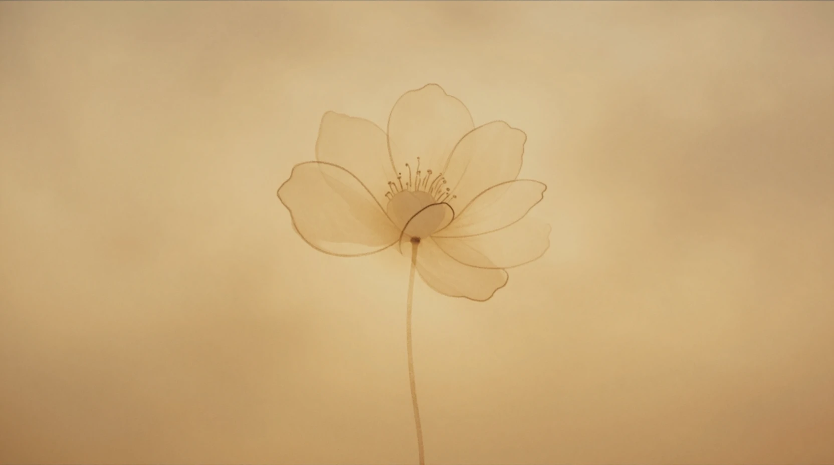 Delicado contorno de flor em tinta com suave flor em aquarela ocre