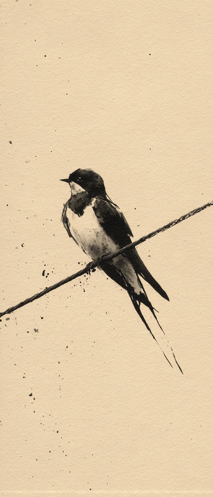 Pequena ave em um longo fio a tinta em espaço minimalista