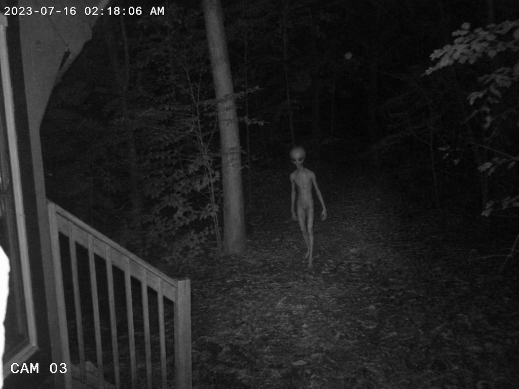 Figura alienígena captada en un fotograma de vigilancia en blanco y negro del bosque