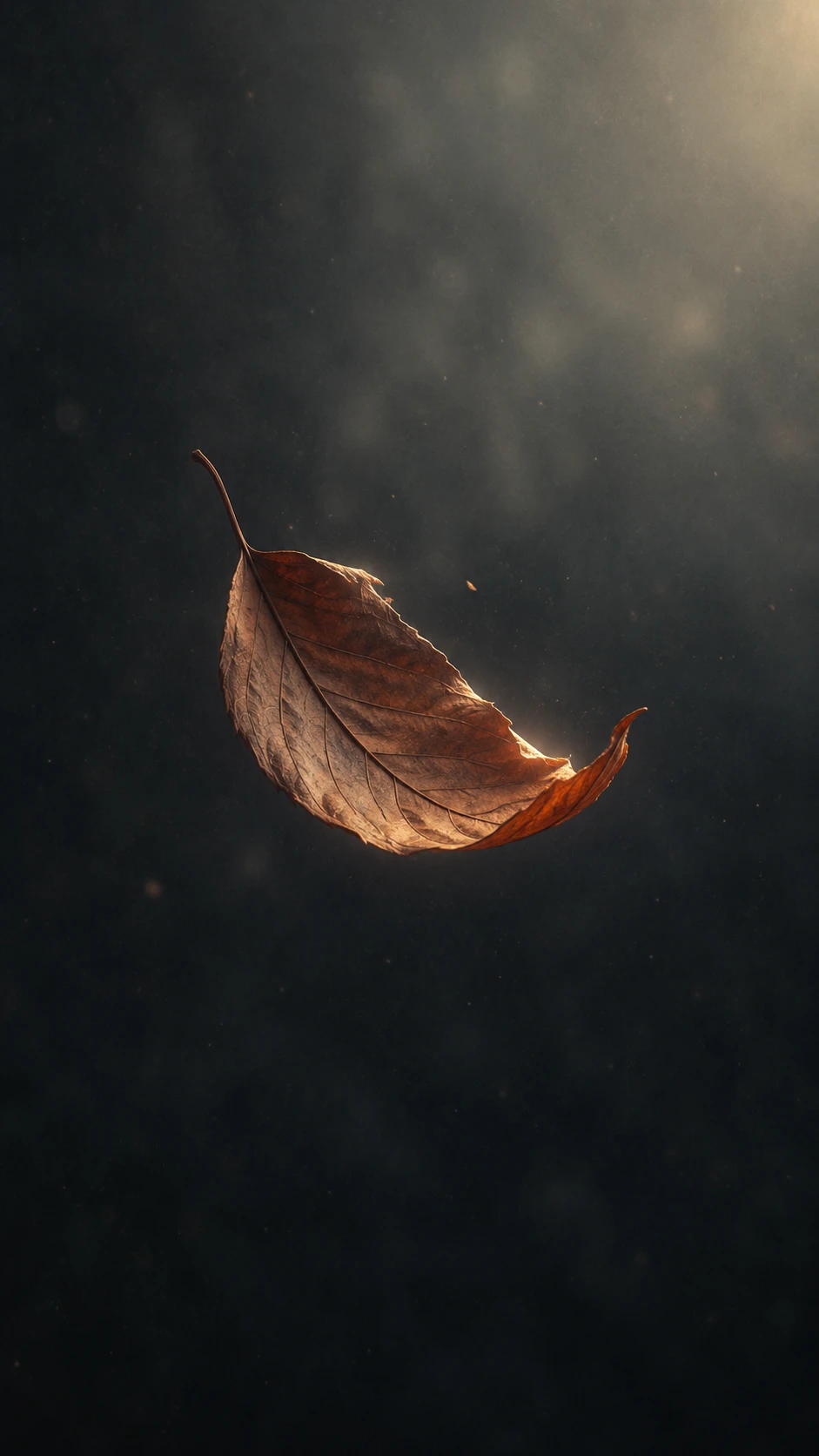 Single leaf floating in soft wind against dark background