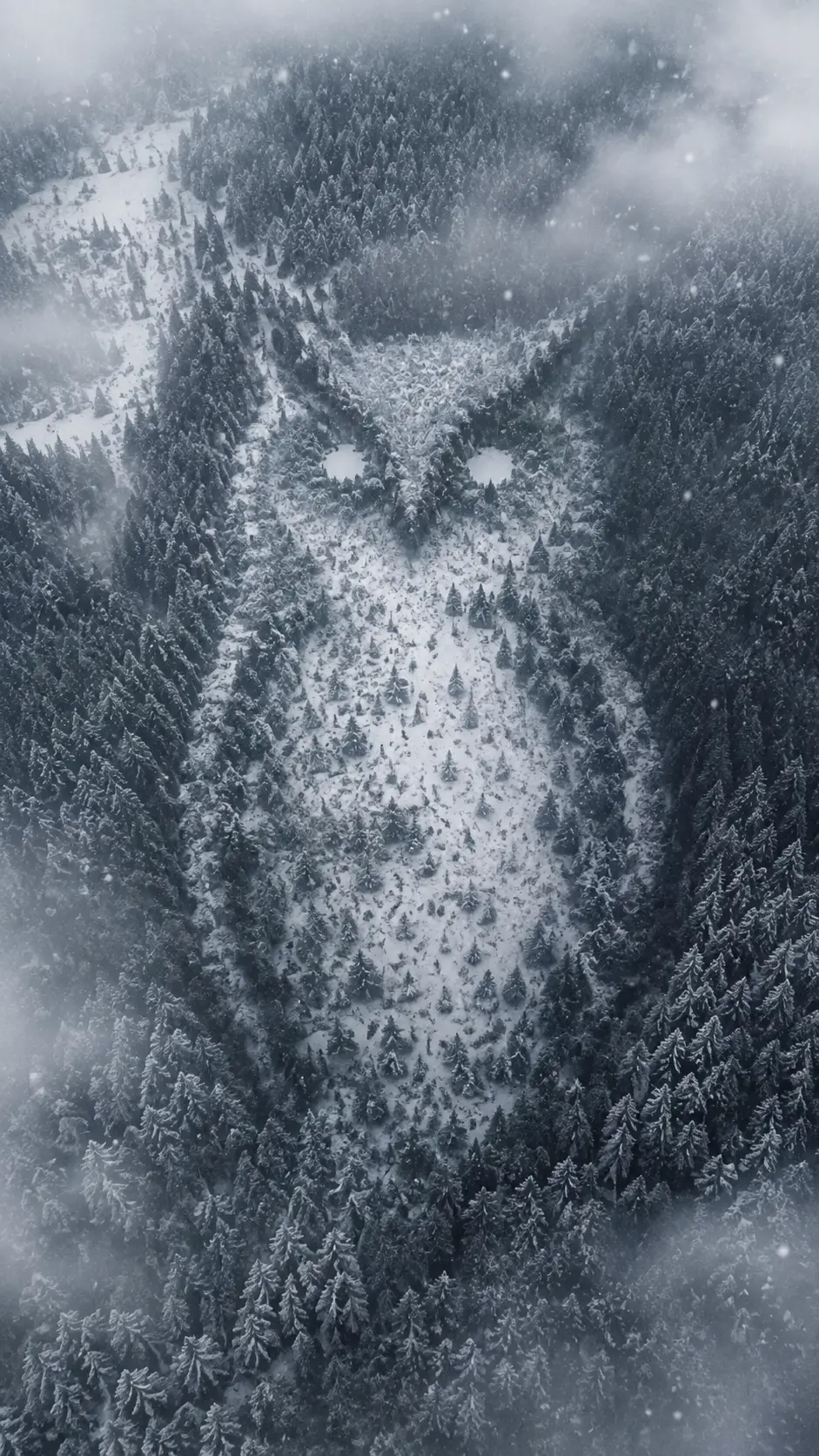 Aerial winter forest forming a subtle owl like silhouette