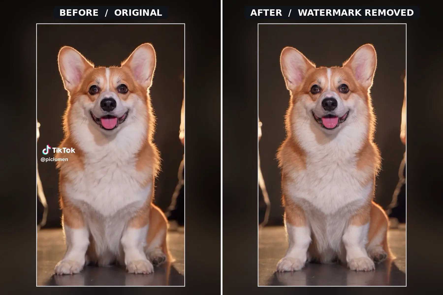 TikTok Watermark Remover